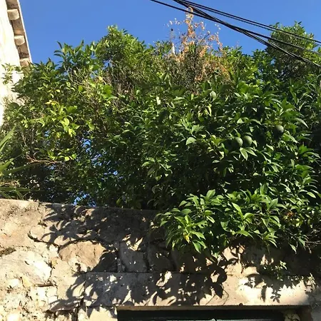 Grenadine קאבטאט